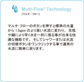 Multi-Flow Technology