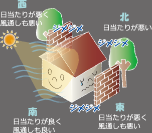 スタッコフレックスが大切な住居を守ります